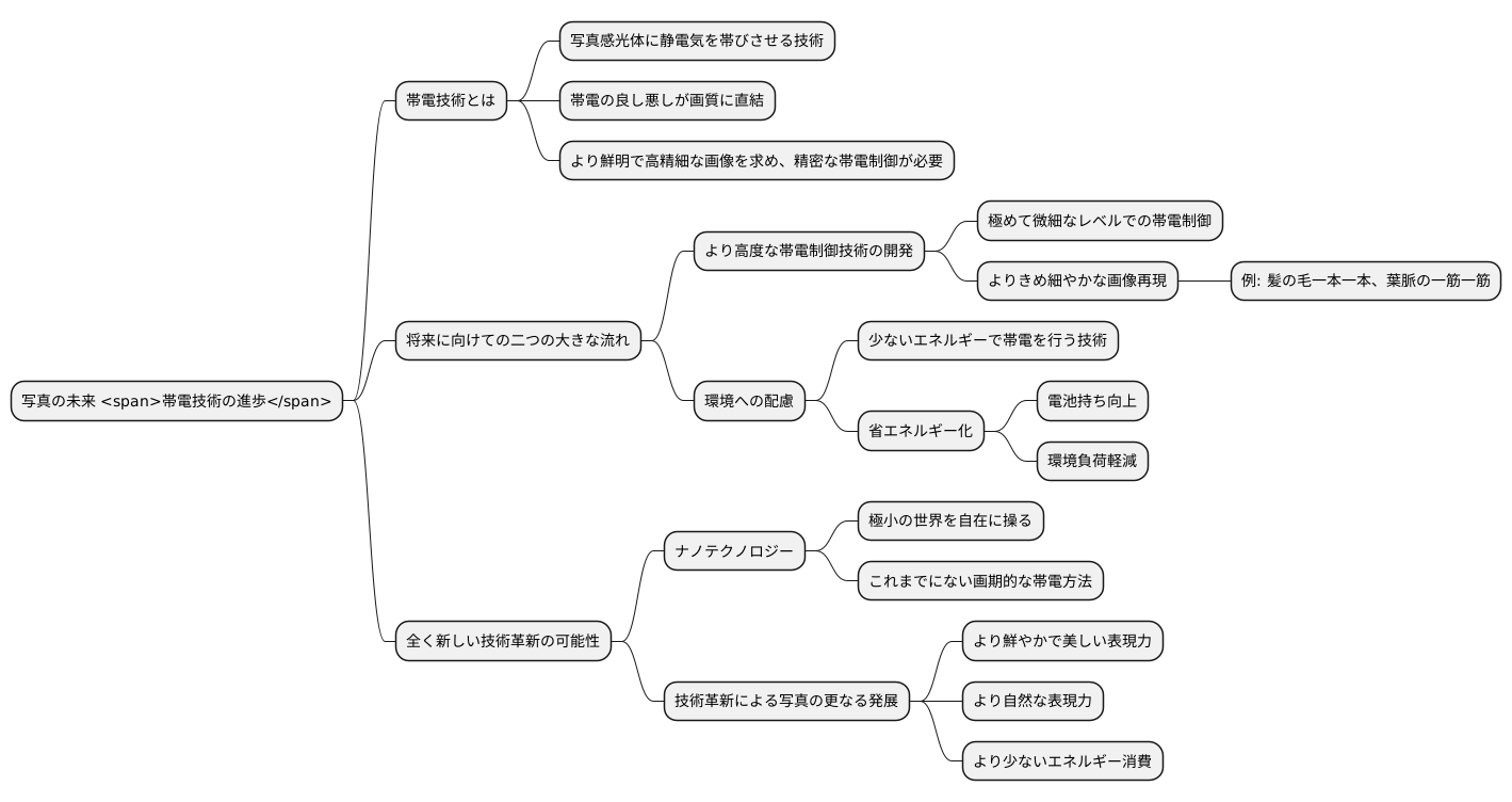 将来の展望