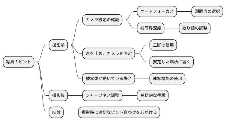 撮影時のピント合わせが重要