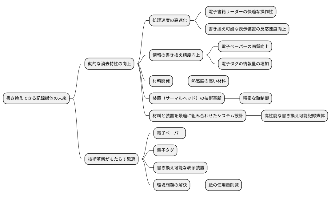 今後の展望