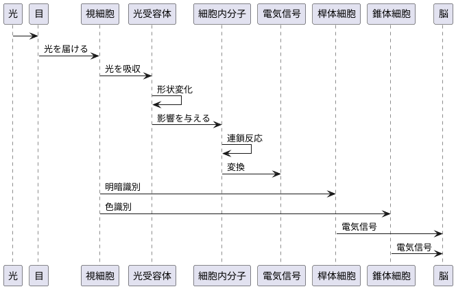 光から信号へ