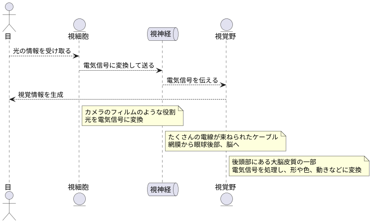 視神経への伝達