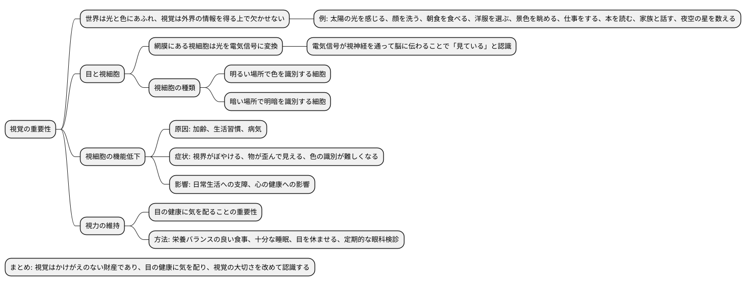 視覚の大切さ